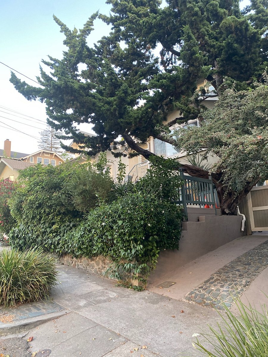Furnished Finder property 188509_2 photo 9