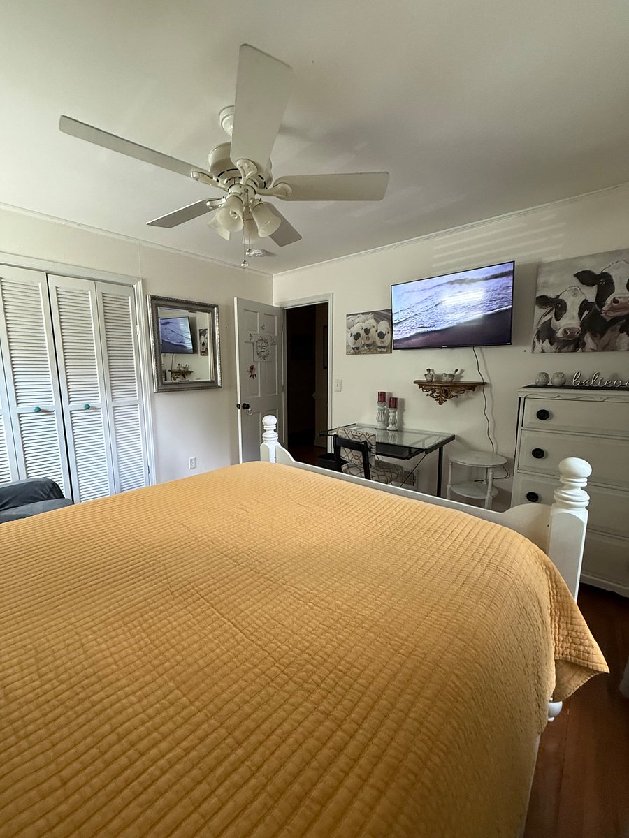 Furnished Finder property 188628_1 photo 57