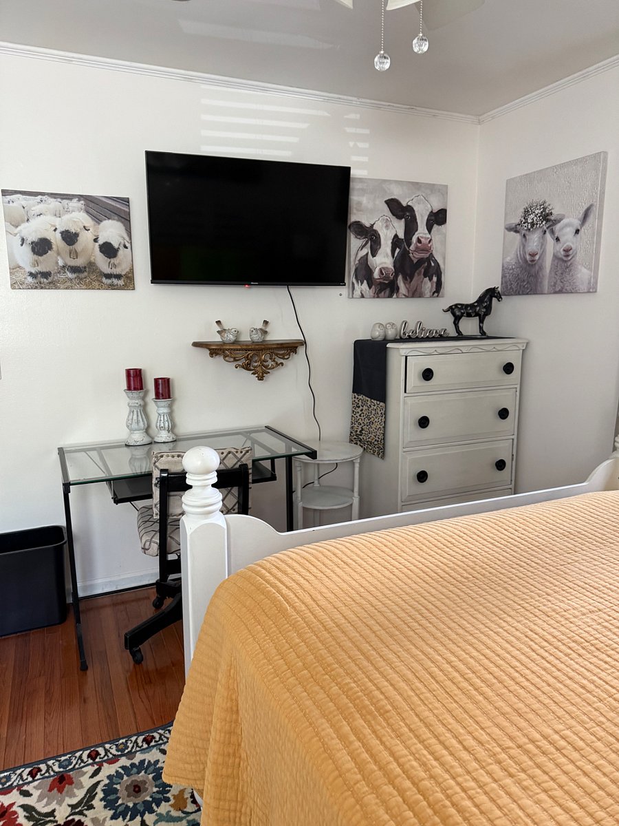 Furnished Finder property 188628_1 photo 58