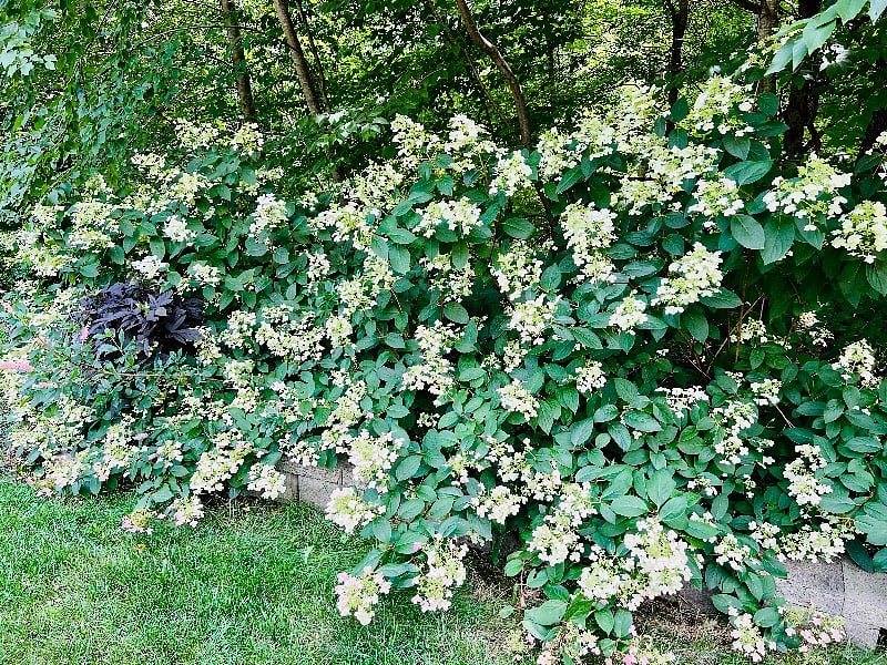 Peaceful gardens for complete relaxation.