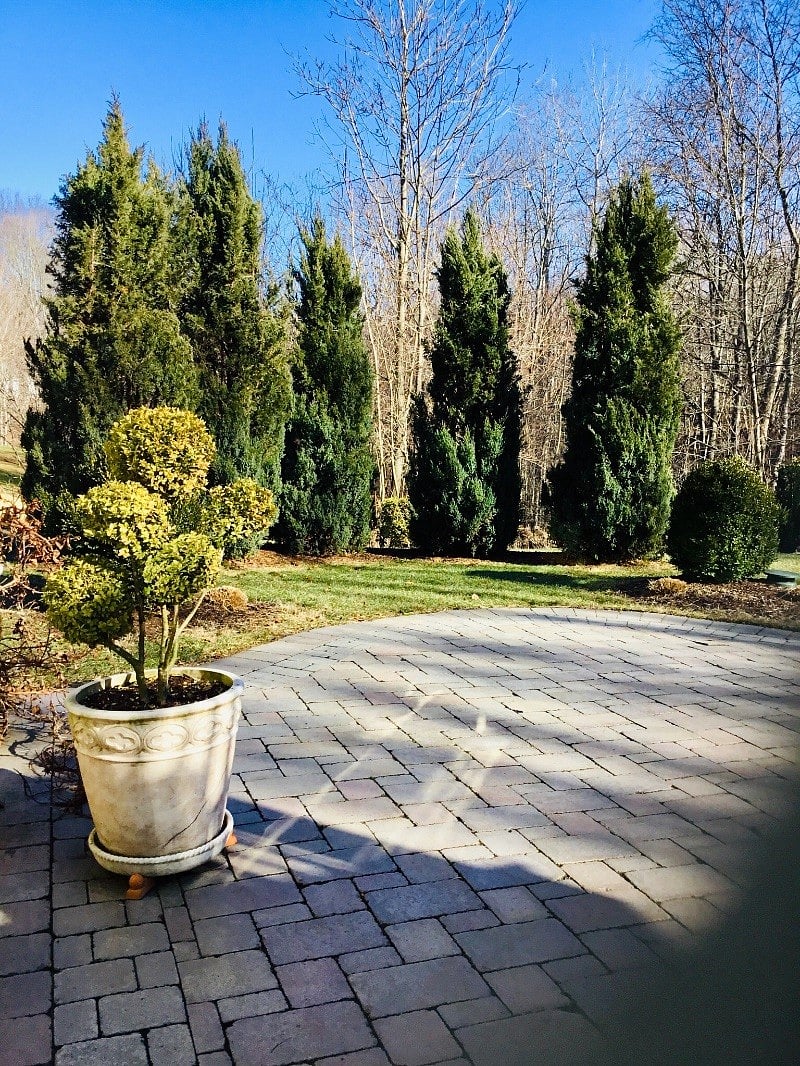 Outside Patio and private Entry to own Apartment.