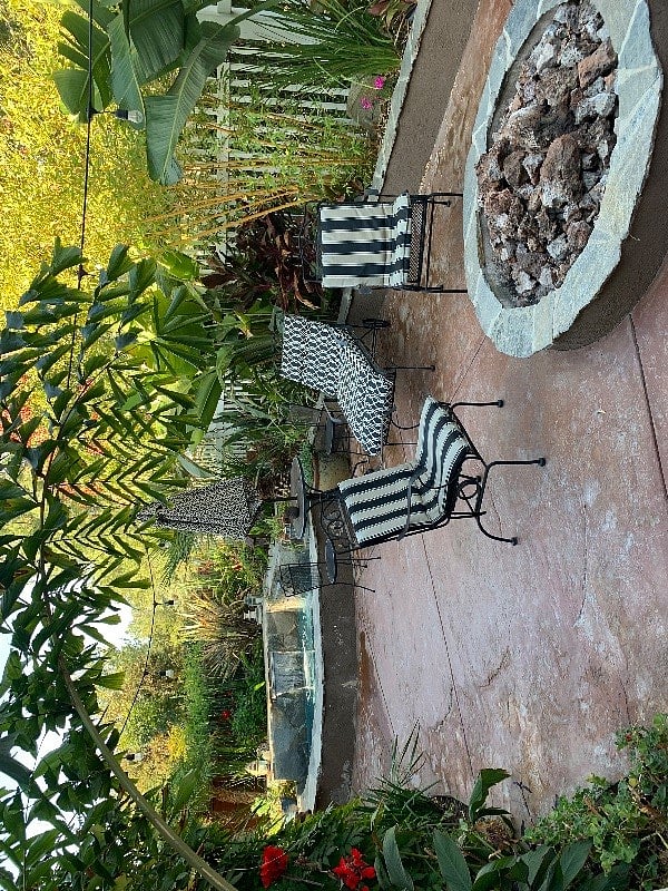 Tropical Backyard