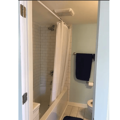 Bath tub and shower (that's real tile)