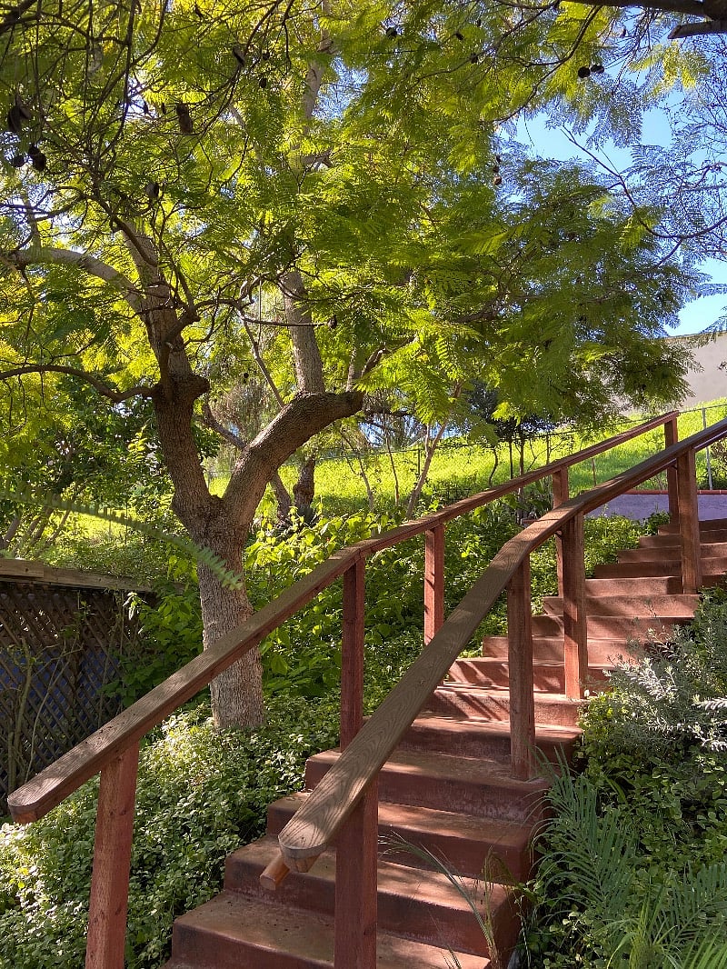 stairway to heaven. Leads to another unit on the property