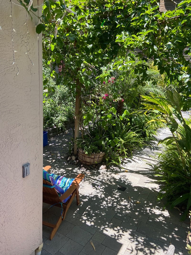 backyard of the unit