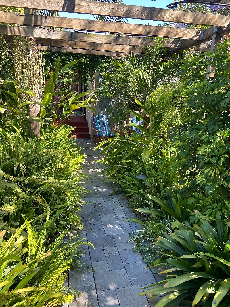 back yard of the unit