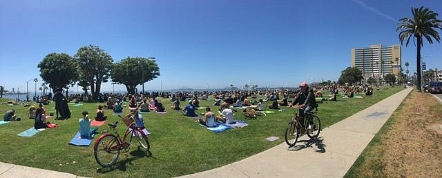 Beach View / Yoga Everyday @ 11am and 6pm. FREE Overlooking the Beach