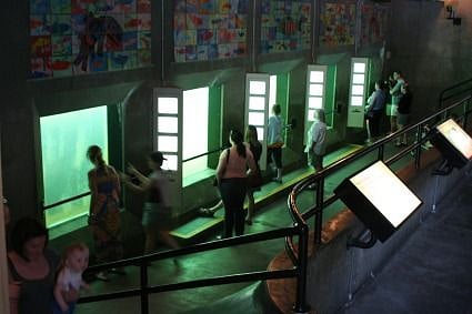 Underground fish windows at the Locks are free to the public