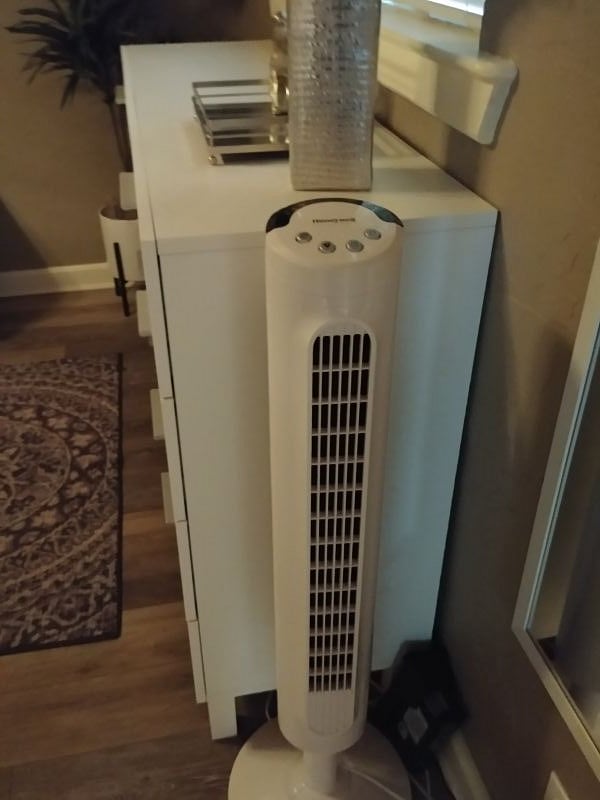 Fan to help the cool air move around.