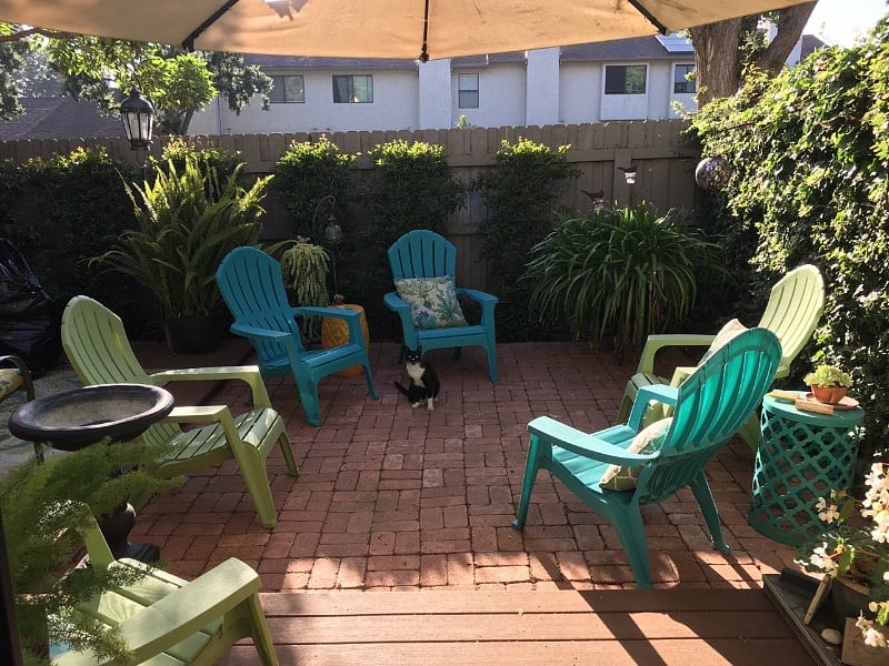 Back Patio (photo 1)