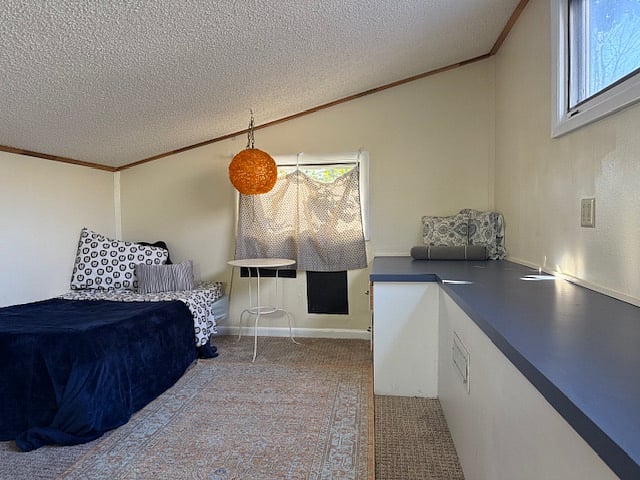 sleeping loft with twin bed great for overnight guest windows and lots of light drawers snd seating, linens included