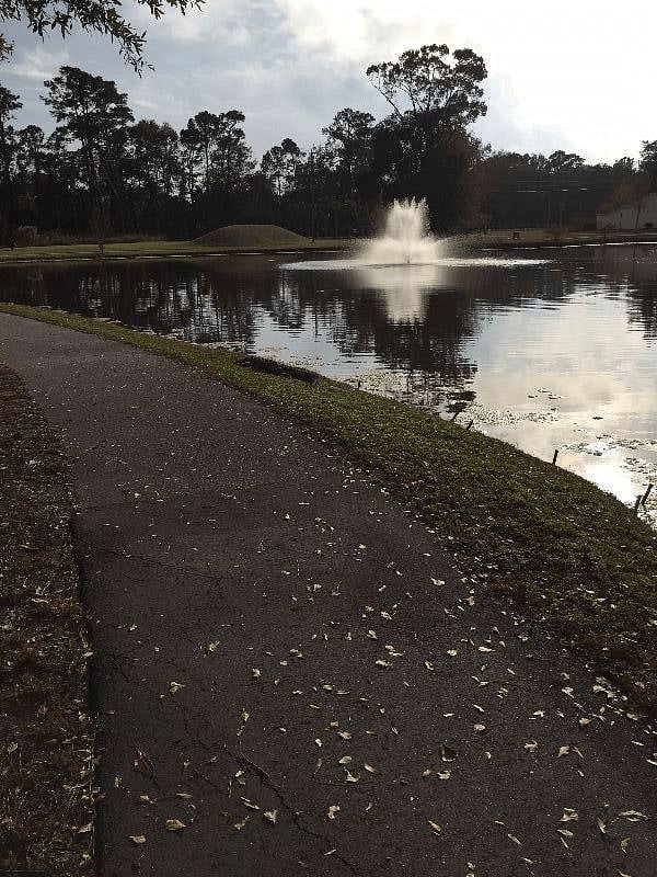 Walking path, main pond