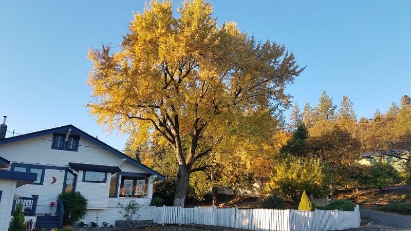 Beautiful fall. Southern Oregon style!