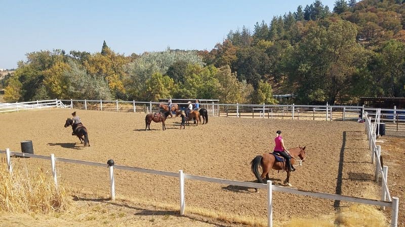 Cowgirl playday!