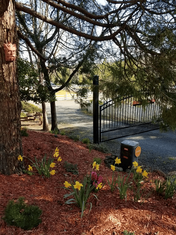 Entryway to property.