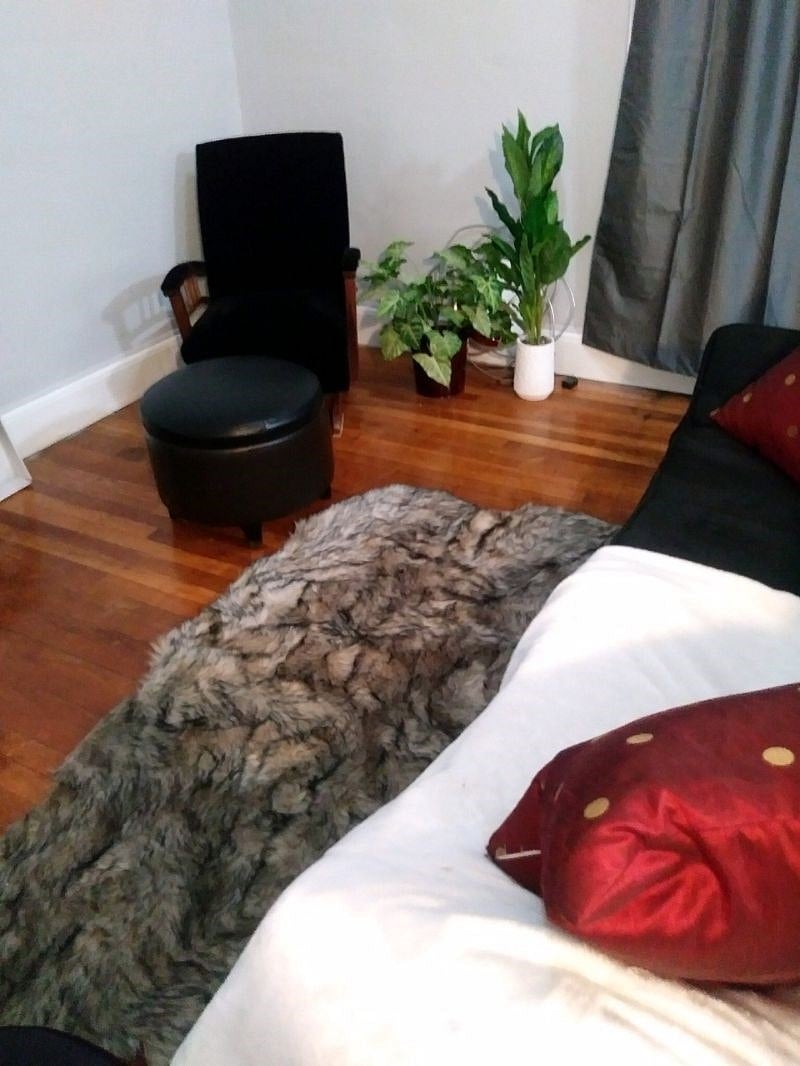 Furnished Finder property 196981_4 photo 5