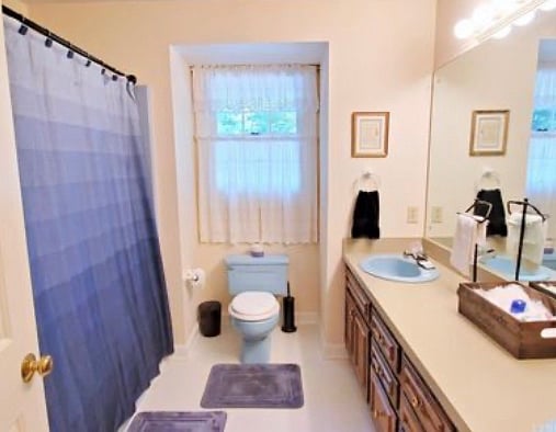 Furnished Finder property 201374_2 photo 12