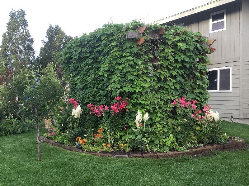 Yard View