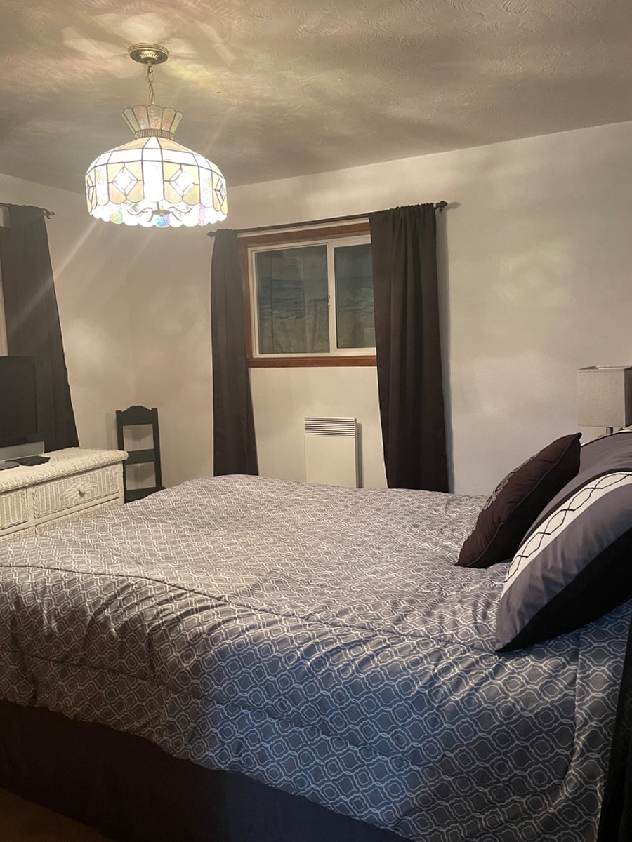 Furnished Finder property 202288_1 photo 31