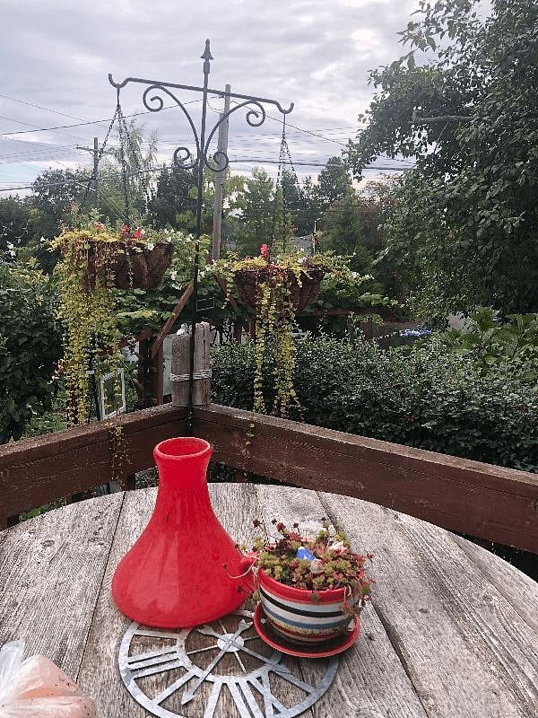 Overlooking the garden of Eden