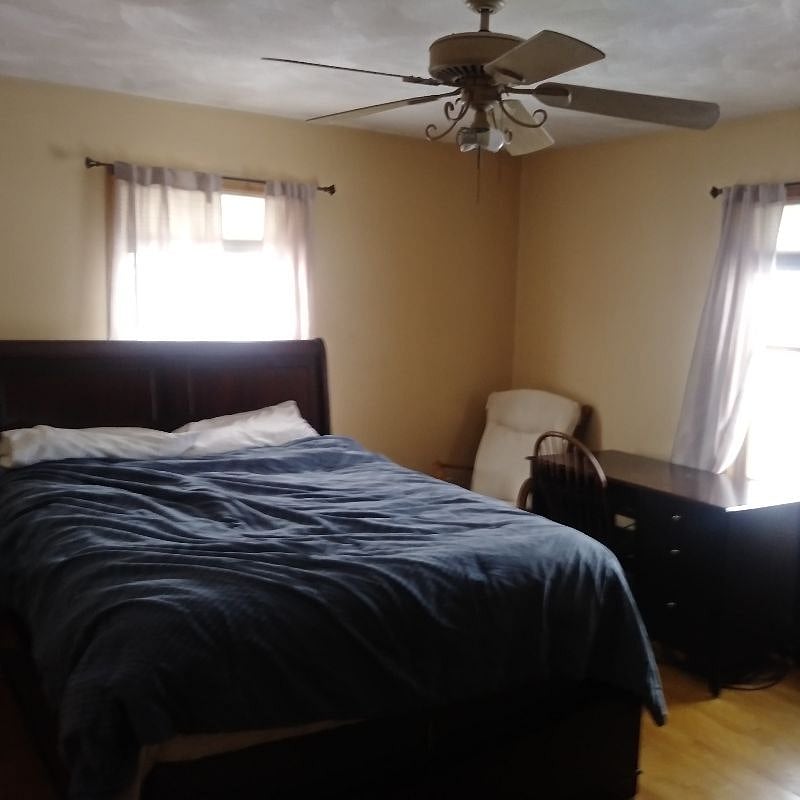 Furnished Finder property 203206_1 photo 5