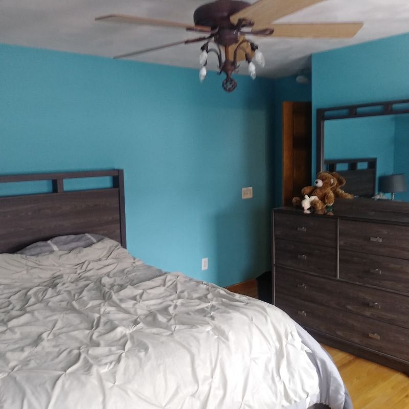 Furnished Finder property 203206_1 photo 6