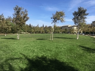 Green space part of amenities