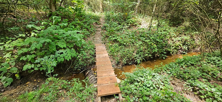 Scenic path with the bridge in the back of the neighborhood.