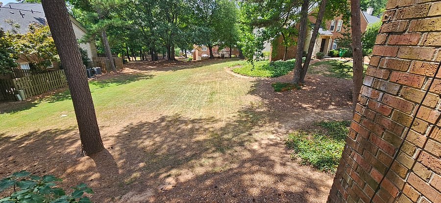 Large grassy field just off the side of the home.