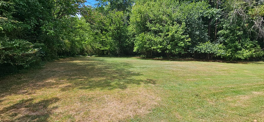 There are plenty of fields to play with your pets!