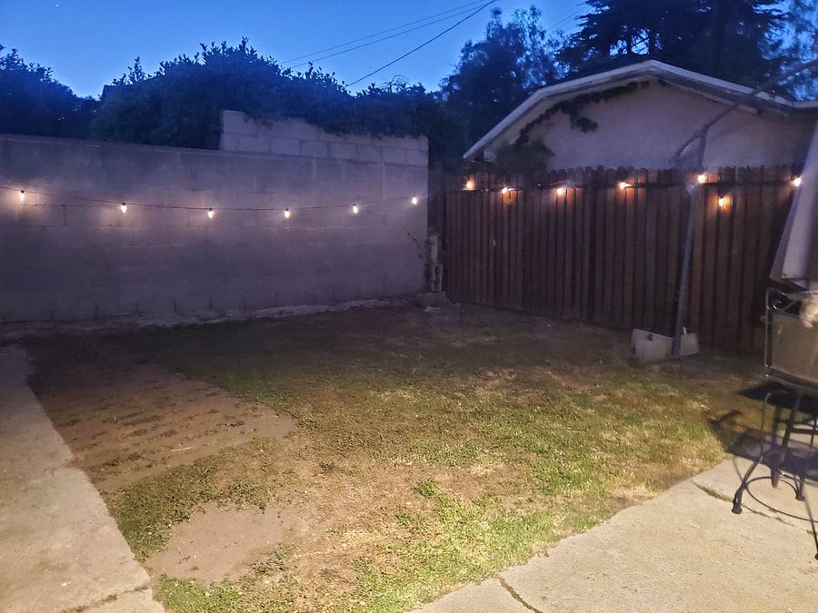 Grass area located behind back door of the Guesthouse.