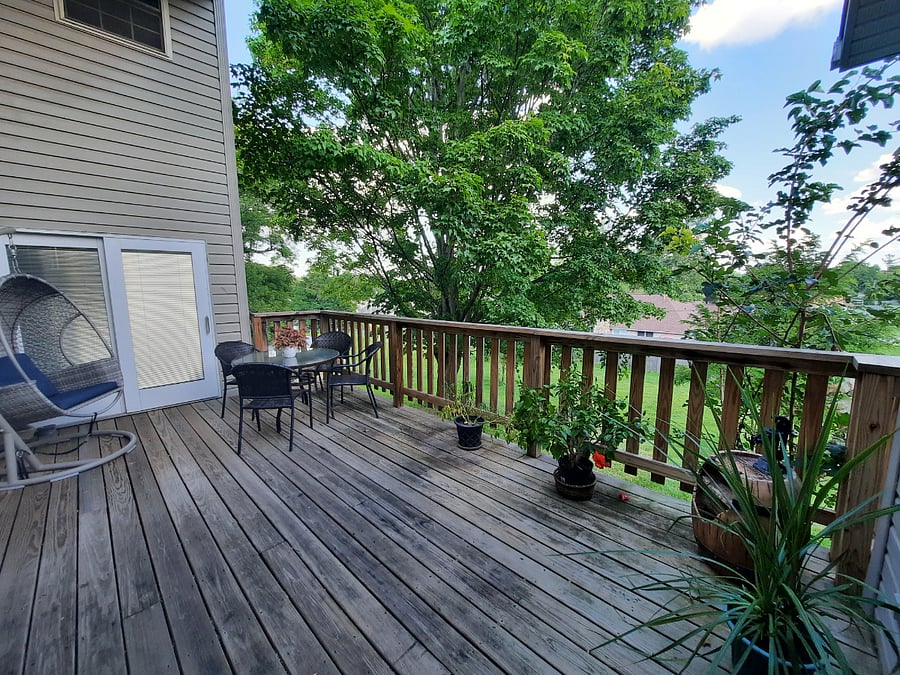 Furnished Finder property 206001_1 photo 12