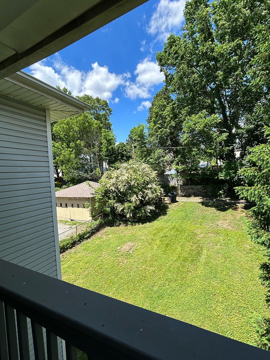 Furnished Finder property 206590_1 photo 16