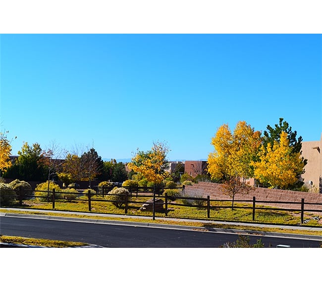 View From Your Front Door/Patio