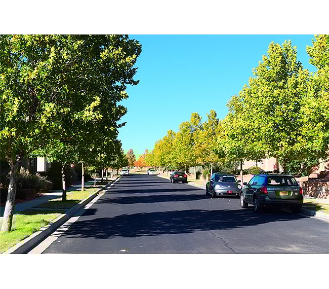 Tree Lined Streets