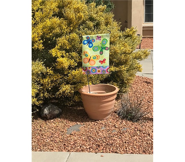 Look for the Butterfly Flag Out Front :-)