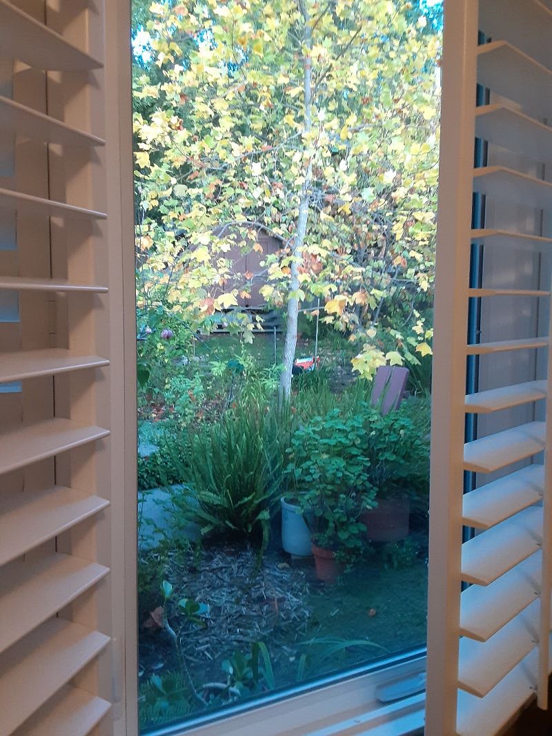View Out Garden Room Window
