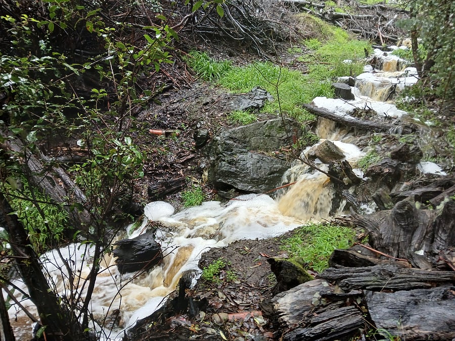 Little drainage creek going through the "back 40" in winter