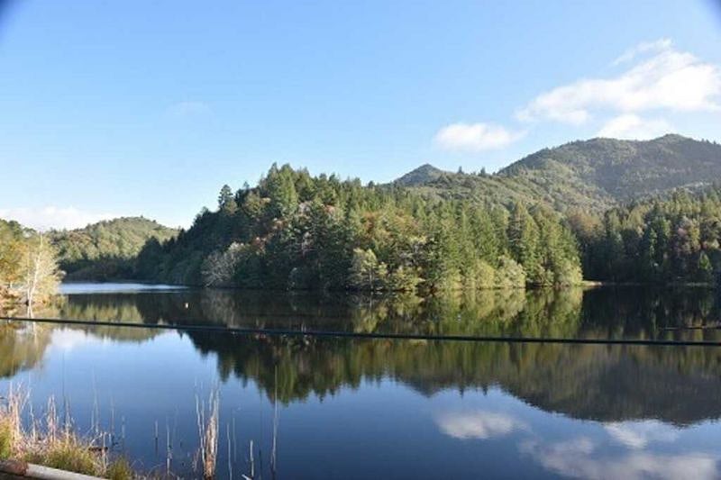 Bon Tempe Lake, west end. Great hiking and running trails here, with access to trails going on up to Mt. Tamalpais, our "Sleeping Lady."