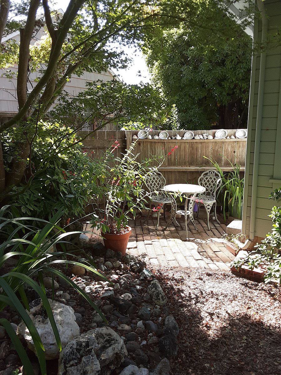 Ice cream table for morning coffee, reading & backyard bird watching