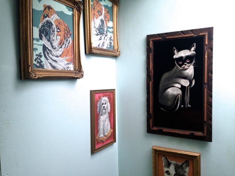 Hallway/kitch art gallery