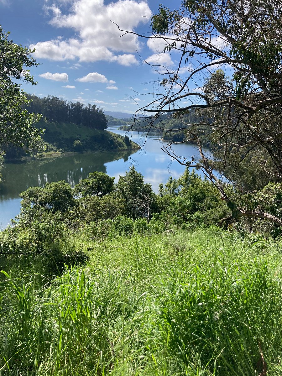 1 mi walk to Lake Chabot Park