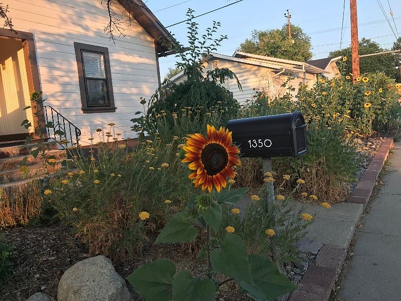 street view, front of house