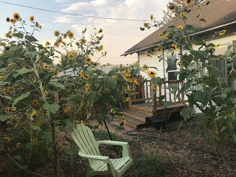 side yard