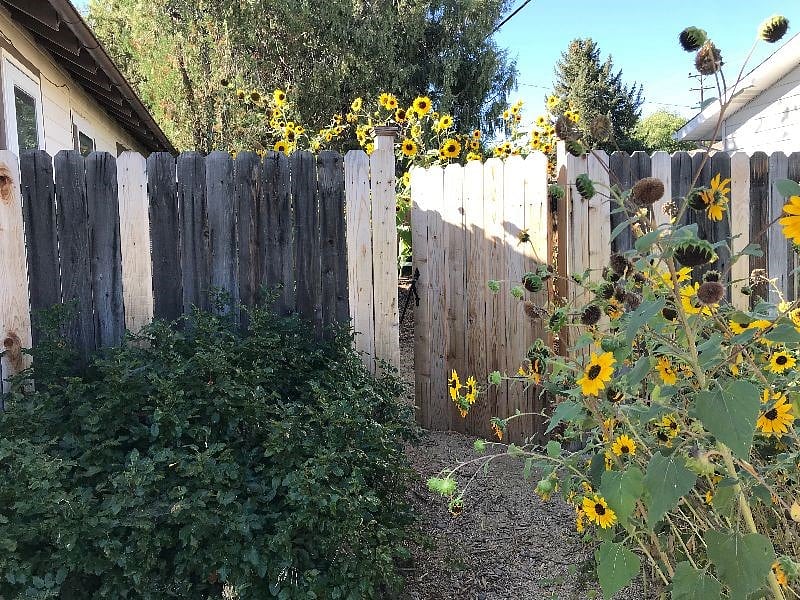 side gate, summer