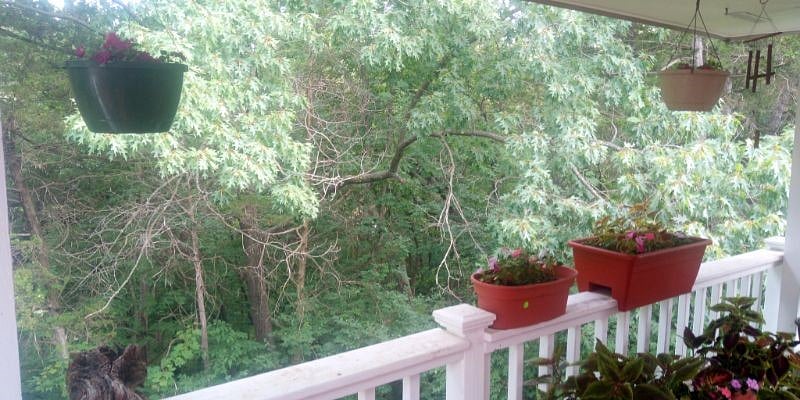 Heavy woods in backyard, very private deck.