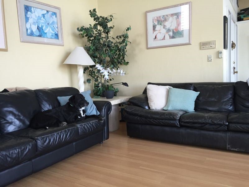 Furnished Finder property 213202_1 photo 4