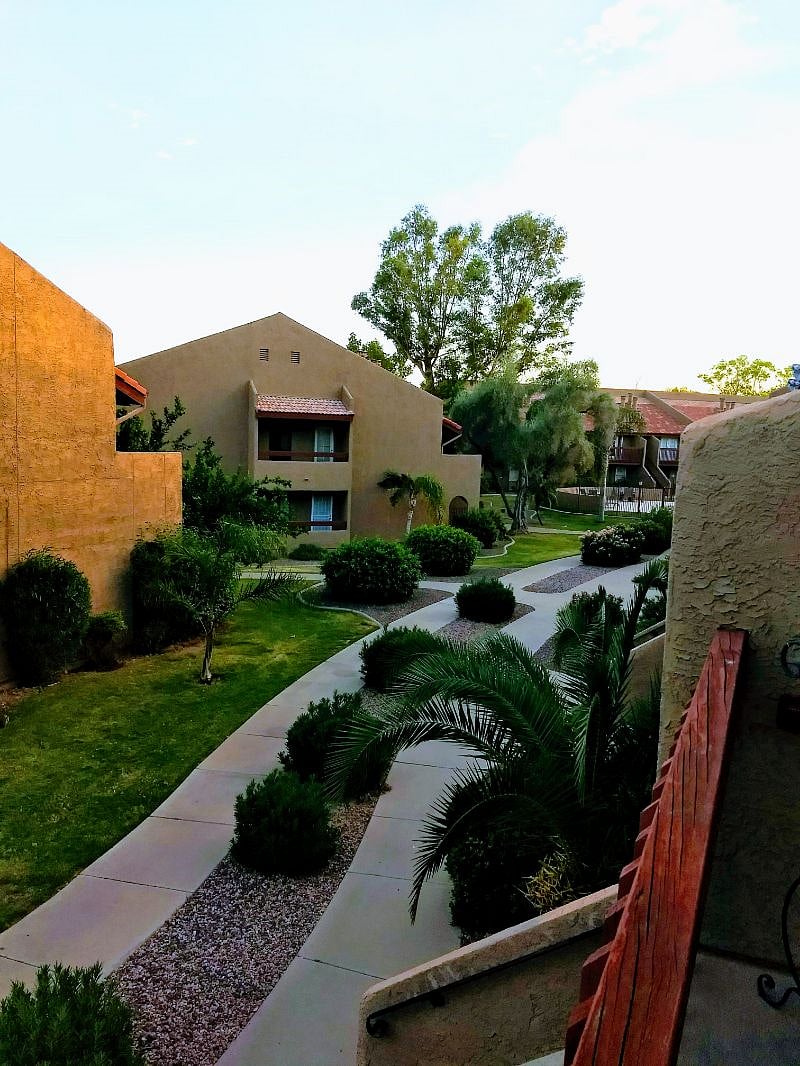 Garden view