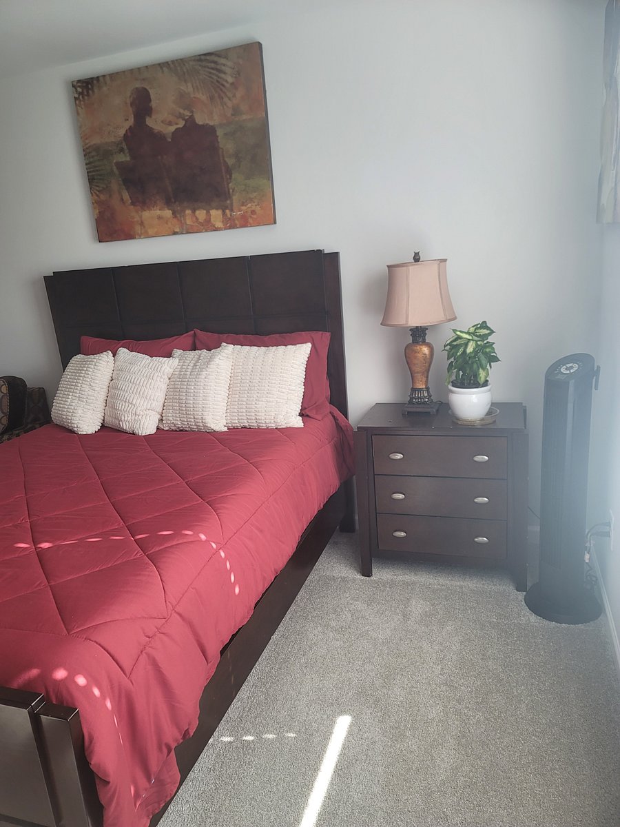 Furnished Finder property 214086_1 photo 9