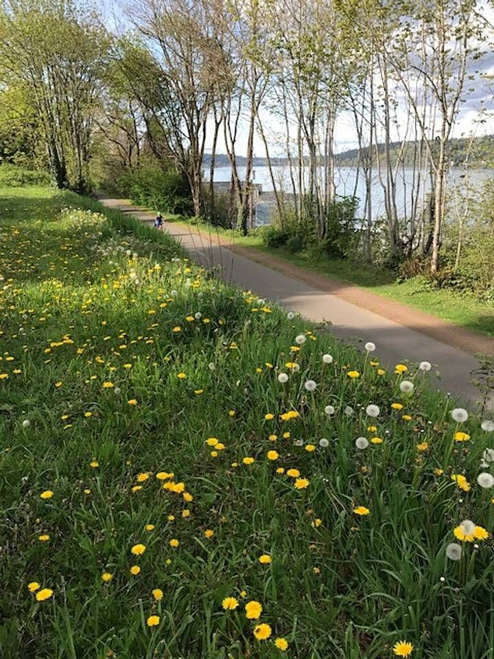 The Burke-Gilman Trail, a favorite thoroughfare for cyclists and walkers providing access to nearby beaches, restaurants, shopping areas, UW, Children's Hospital and greater Seattle.